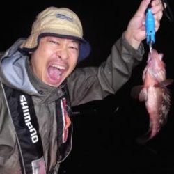 シーマジカル 釣果