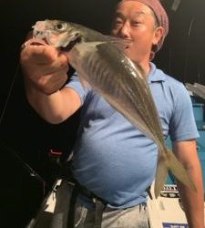 愛海丸 釣果