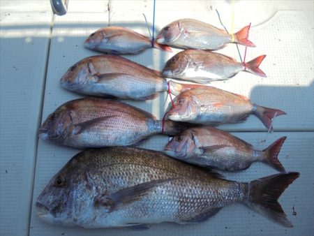 ＨＡＲＵＫＡ丸　はるかまる 釣果
