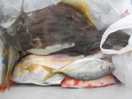 こかわ渡船　雅丸 釣果