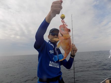 フィッシングボート空風(そらかぜ) 釣果