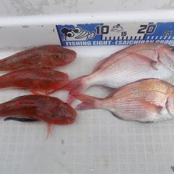 フィッシングボート空風(そらかぜ) 釣果