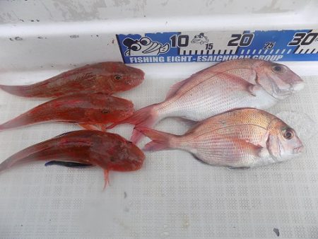 フィッシングボート空風(そらかぜ) 釣果