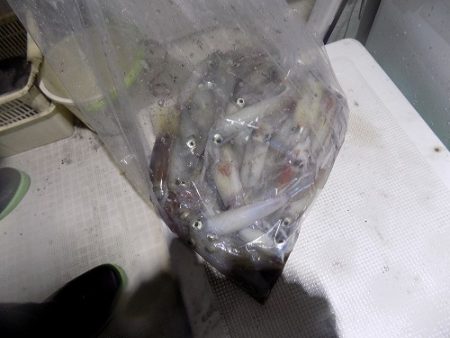 フィッシングボート空風(そらかぜ) 釣果