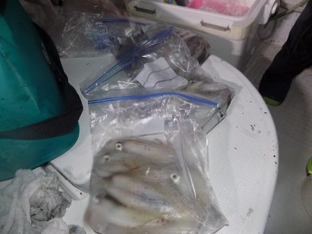 フィッシングボート空風(そらかぜ) 釣果