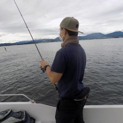 フィッシングボート空風(そらかぜ) 釣果