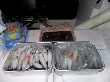 フィッシングボート空風（そらかぜ） 釣果