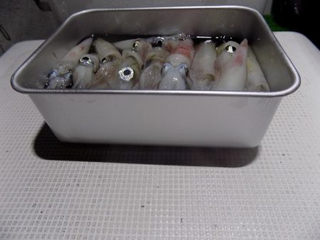 フィッシングボート空風(そらかぜ) 釣果