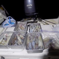 フィッシングボート空風(そらかぜ) 釣果