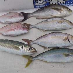 フィッシングボート空風（そらかぜ） 釣果