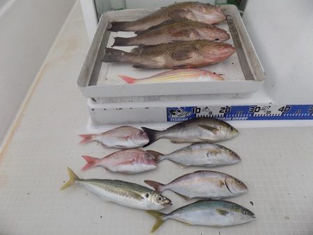 フィッシングボート空風（そらかぜ） 釣果