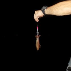 フィッシングボート空風(そらかぜ) 釣果