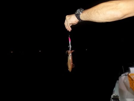 フィッシングボート空風(そらかぜ) 釣果