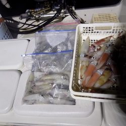 フィッシングボート空風(そらかぜ) 釣果