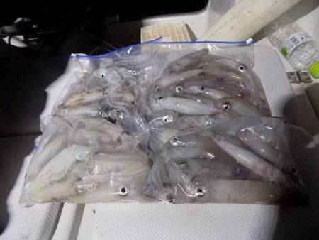 フィッシングボート空風(そらかぜ) 釣果