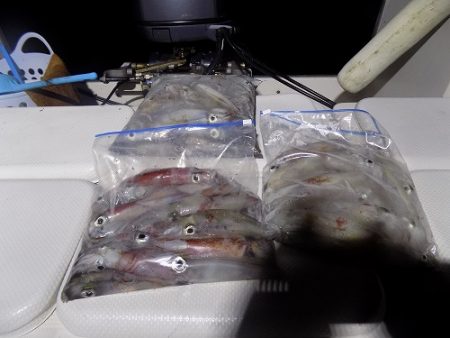 フィッシングボート空風(そらかぜ) 釣果