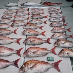 フィッシングボートACE(エース) 釣果