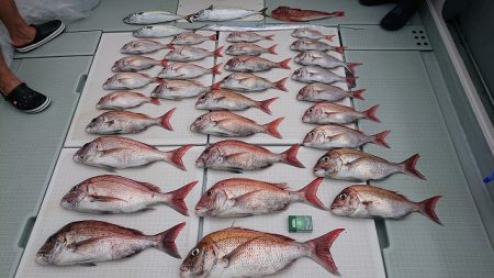 フィッシングボートACE(エース) 釣果