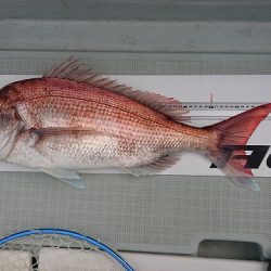 フィッシングボートACE（エース） 釣果