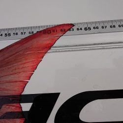 フィッシングボートACE（エース） 釣果