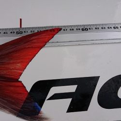 フィッシングボートACE（エース） 釣果