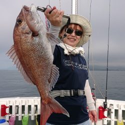 フィッシングボートACE（エース） 釣果