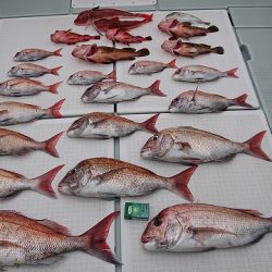 フィッシングボートACE（エース） 釣果