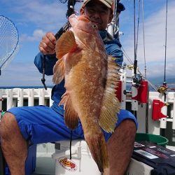 フィッシングボートACE(エース) 釣果