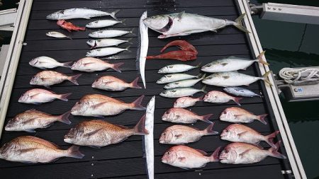 フィッシングボートACE(エース) 釣果