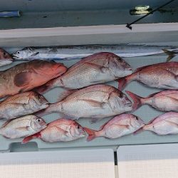 フィッシングボートACE（エース） 釣果