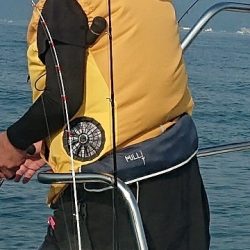 フィッシングボートACE(エース) 釣果