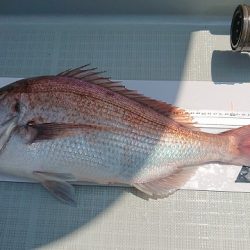 フィッシングボートACE(エース) 釣果