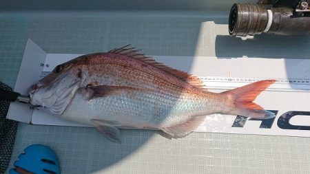 フィッシングボートACE（エース） 釣果