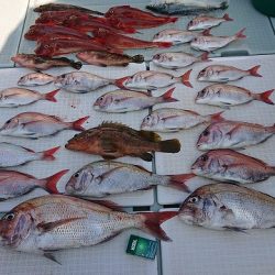 フィッシングボートACE(エース) 釣果