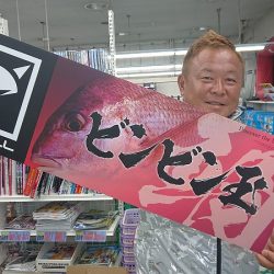 フィッシングボートACE(エース) 釣果