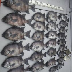 磯部釣船 直栄丸 釣果