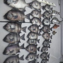 磯部釣船 直栄丸 釣果