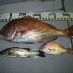 磯部釣船 直栄丸 釣果