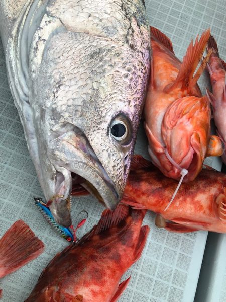 星隆丸 釣果
