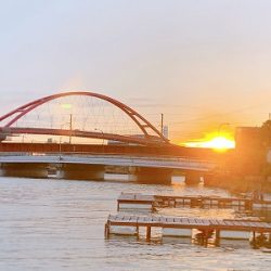 フィシングボートAir(エアー) 釣果