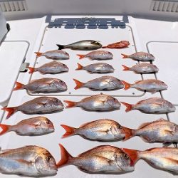 フィシングボートAir(エアー) 釣果