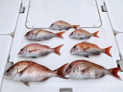 フィシングボートAir(エアー) 釣果