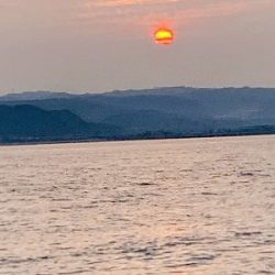 フィシングボートAir(エアー) 釣果