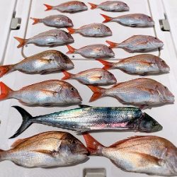 フィシングボートAir(エアー) 釣果