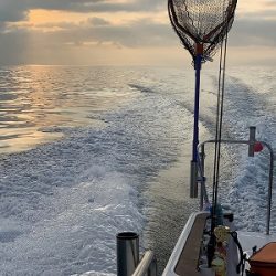 フィシングボートAir(エアー) 釣果