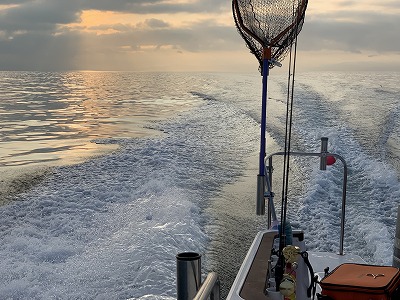 フィシングボートAir(エアー) 釣果