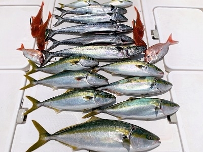 フィシングボートAir(エアー) 釣果