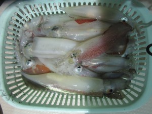 兼六丸 釣果