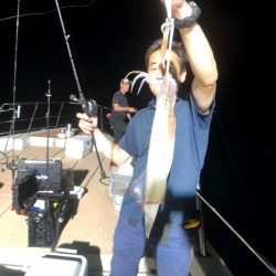 オーシャンズ　京都 釣果