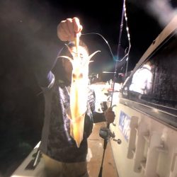 オーシャンズ　京都 釣果